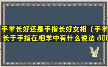 手掌长好还是手指长好女相（手掌长于手指在相学中有什么说法 🌹 ）